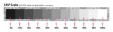 LRV-Scale.jpg