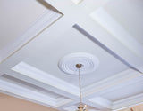 coffered ceiling and ceiling centre.jpg