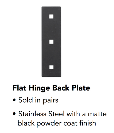 flat-hinge-back-plate.png