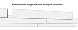 stager_the_joints.jpg