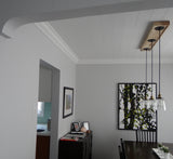 tg_ceiling_diningroom.jpg
