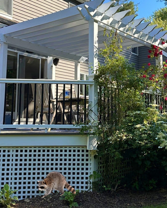 Pergola_Kit_with_lattice.jpg